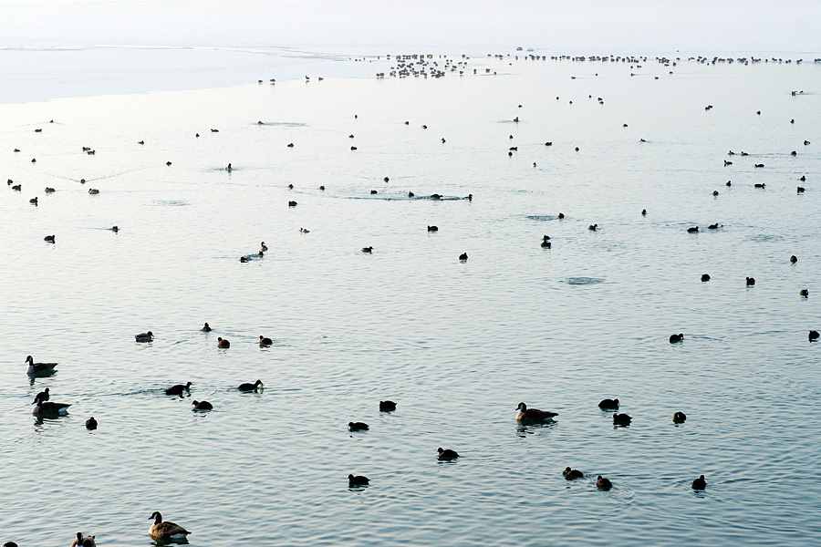 image: christian feist